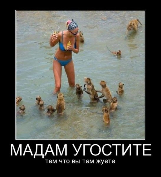 Курорты Краснодарского края ждут ва