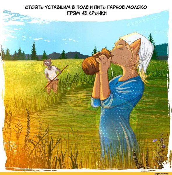 Летний юмор в картинках