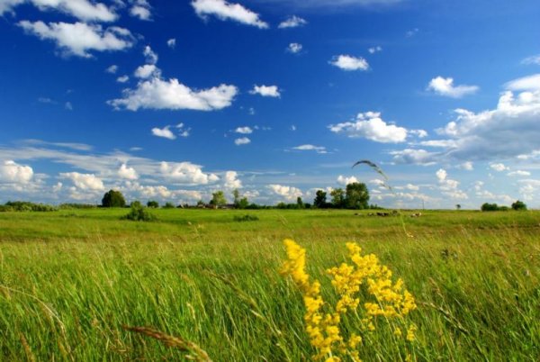 Поле равнина Белоруссия