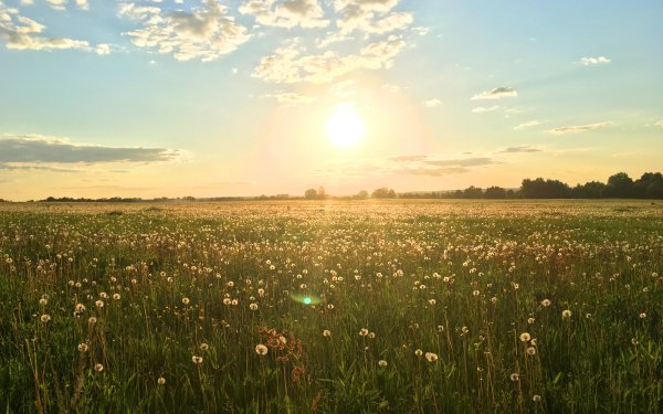 Красивое лето