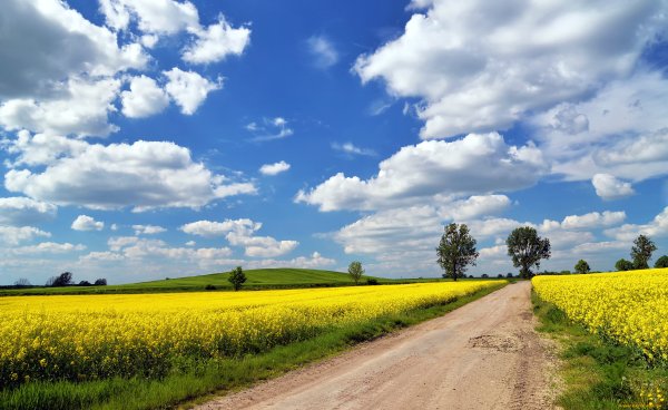 Природа поле