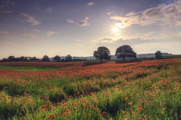 Палусские Луга