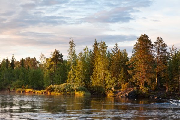 Река Понча Карелия