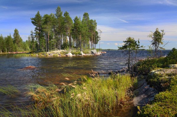 Река Янисйоки Карелия