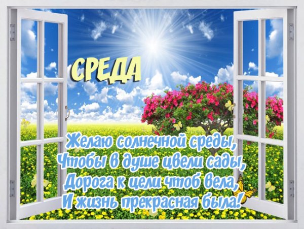 Доброе утро Солнечная среда