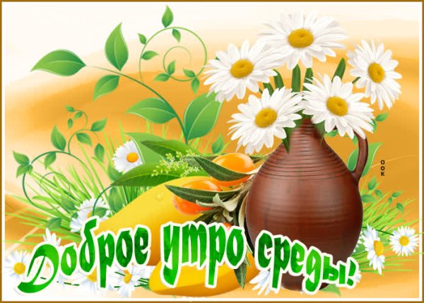 Летнего утра среды