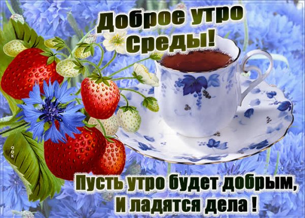 Поздравляю полевые цветы