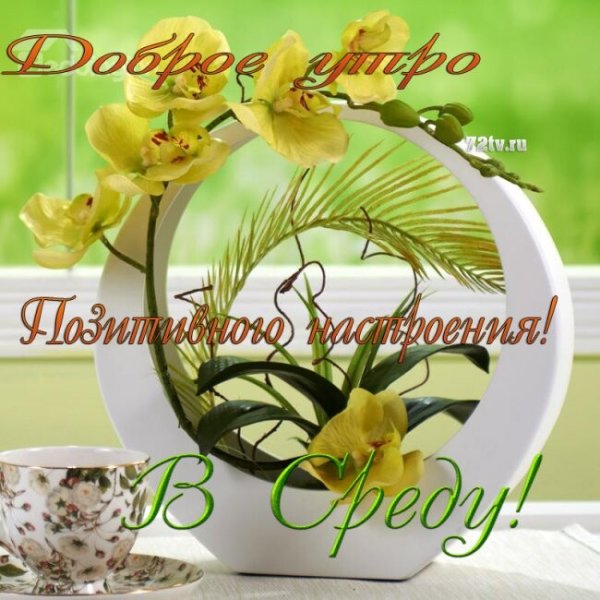 Открытки солнечной среды