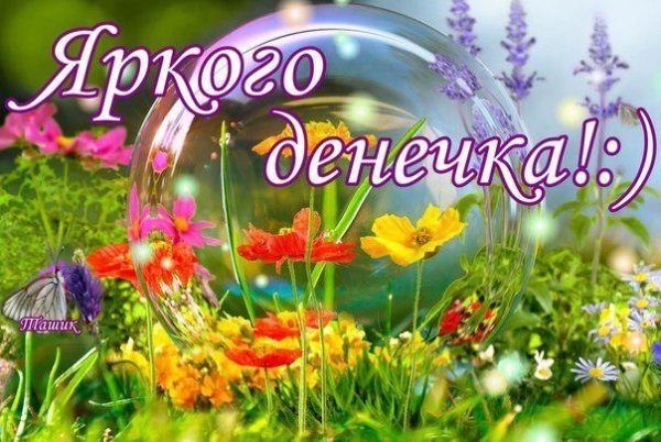 Доброго летнего дня