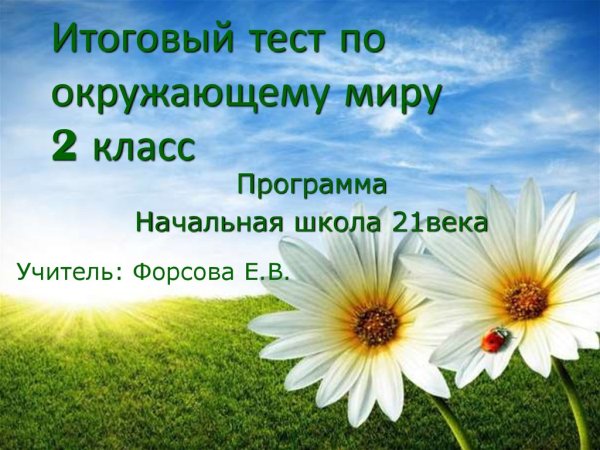 Лето ягоды цветы