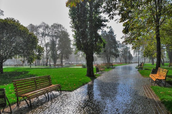 Город после дождя