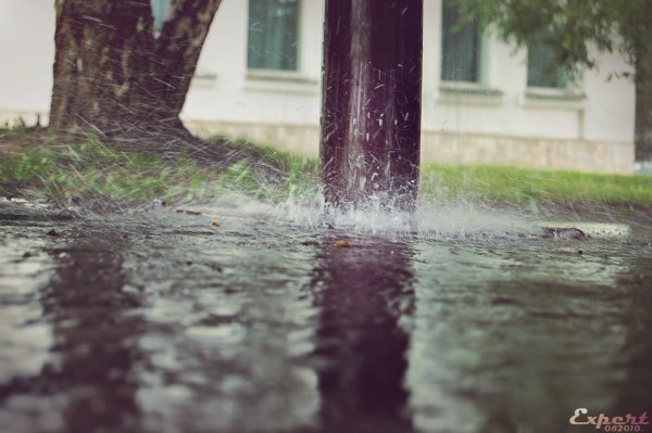 Летний дождь в городе