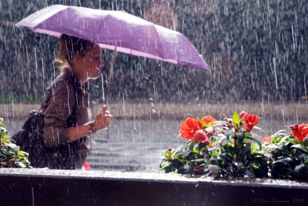 Летнее утро в городе