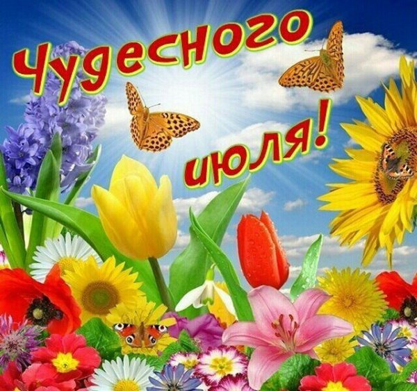 Здравствуй солнечное утро