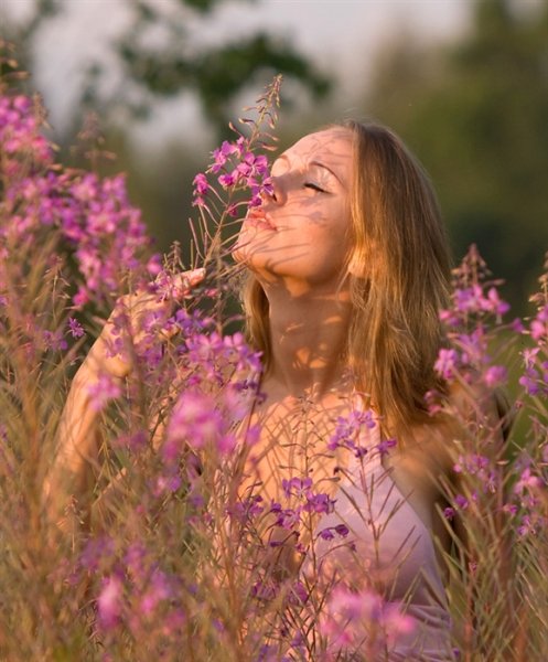 Благоухание природы летом