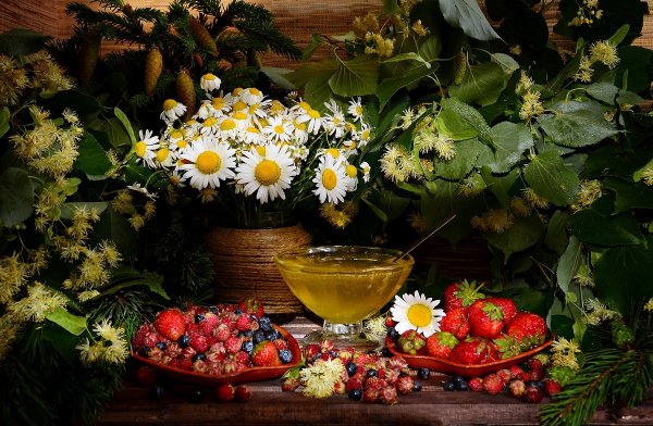 Воспоминания о лете