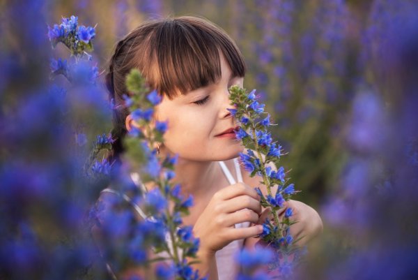 Аромат лета