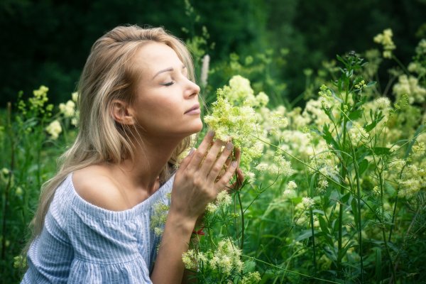 Аромат трав