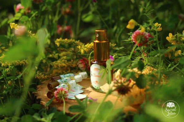 Травяные духи