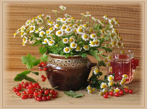 Девушка с букетом ромашек