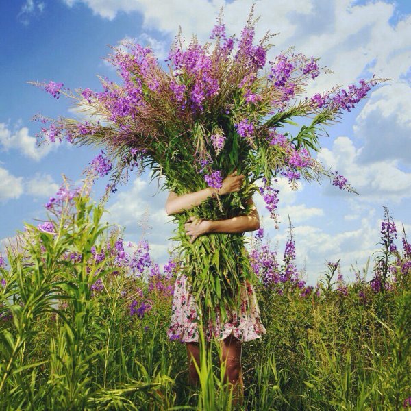 Аромат лета