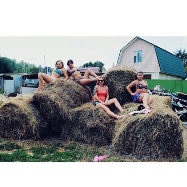 Животные в деревне