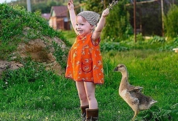 Отличного отдыха на даче