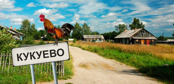 Дача огород прикольные