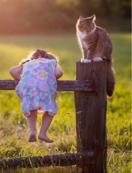 Хорошо в деревне летом приколы