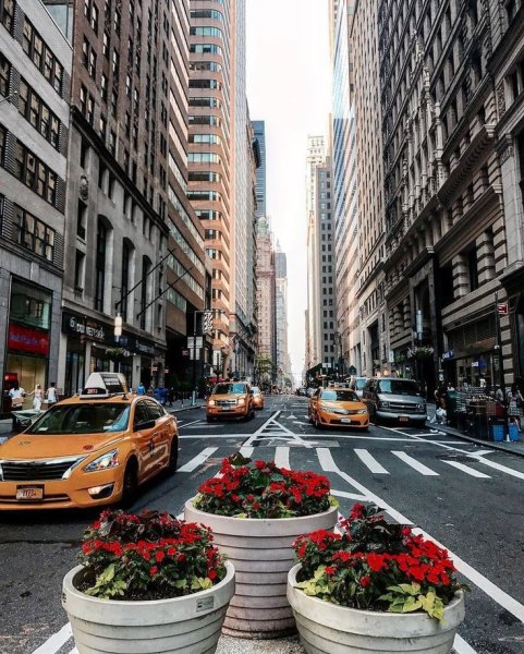 Нью-Йорк (New York City)