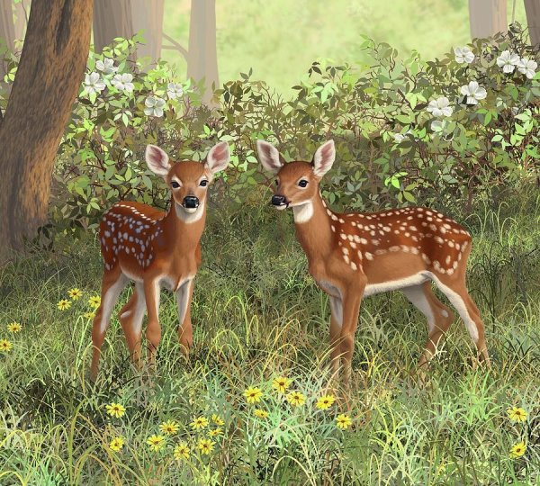Американская художница Crista Forest картины