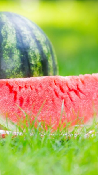 Арбуз на природе