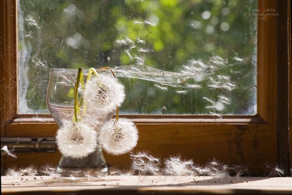 Лето дождались