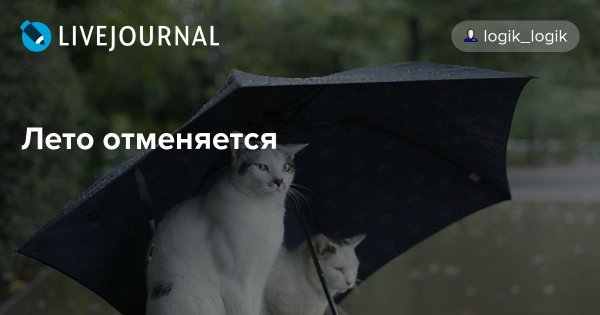 Лето отменяется картинки