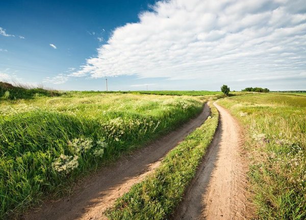Деревенская дорога