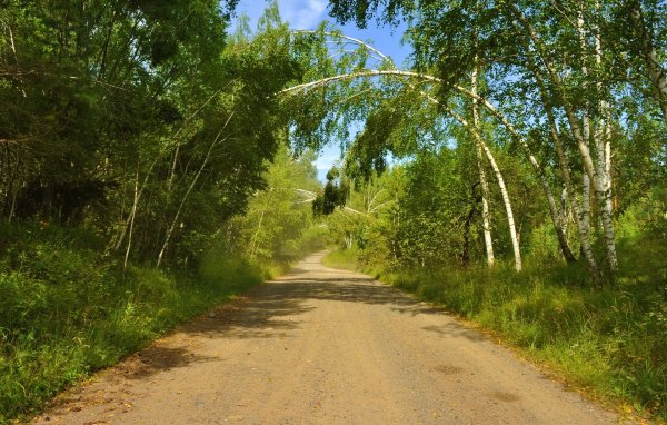 Дорога фото картинки