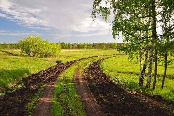 Деревня природа Проселочная дорога