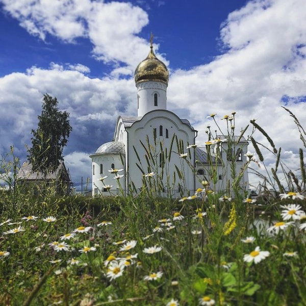 Ромашки и храм