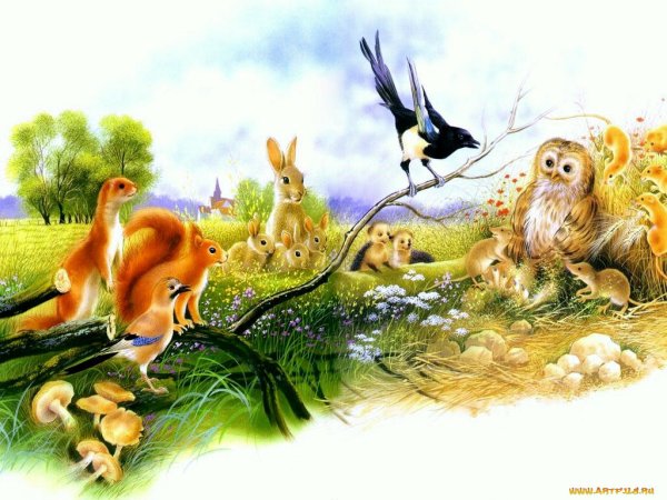 Набор пазлов Ravensburger Лесные жители