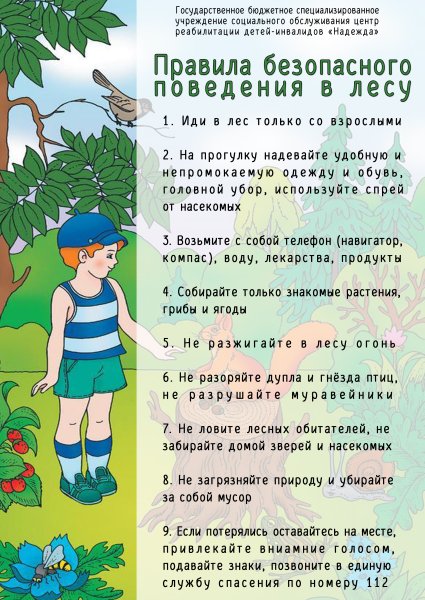 Консультация безопасность детей летом