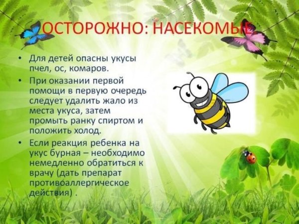 Безопасность на детской площадке