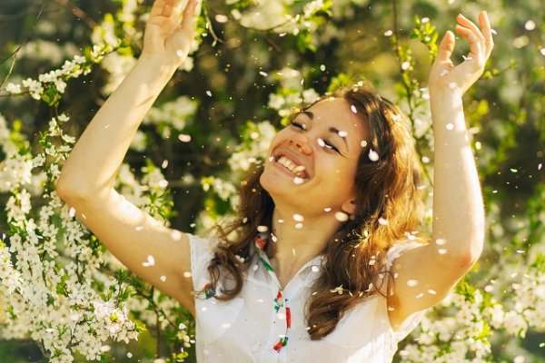 Бабочки на лугу