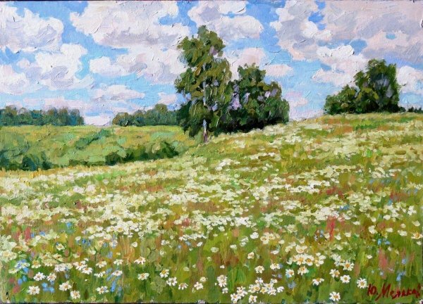 Картина Ромашковое поле художника Волкова Ефима