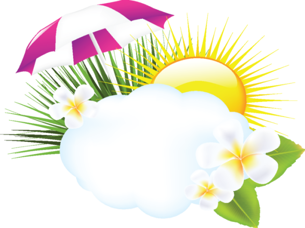 Летний клипарт на прозрачном фоне