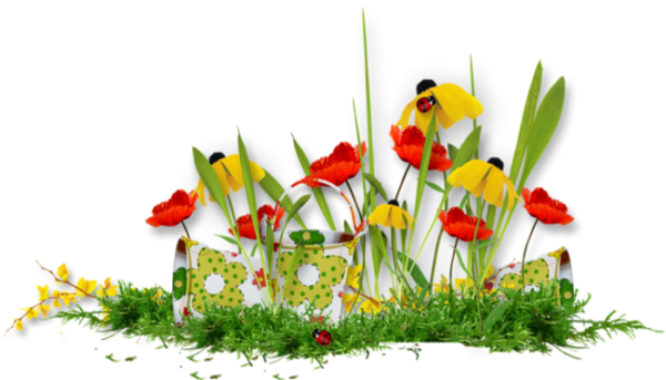 Цветочная Поляна на прозрачном фоне