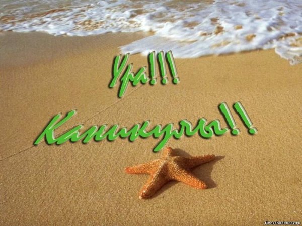 Привет отпуск