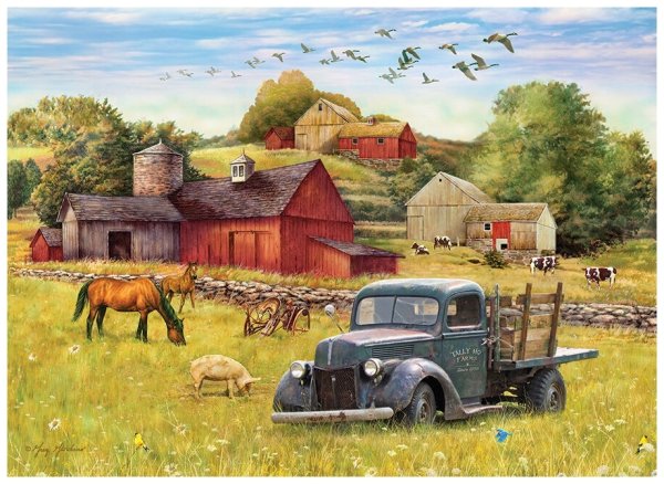 Деревенский пейзаж с машиной