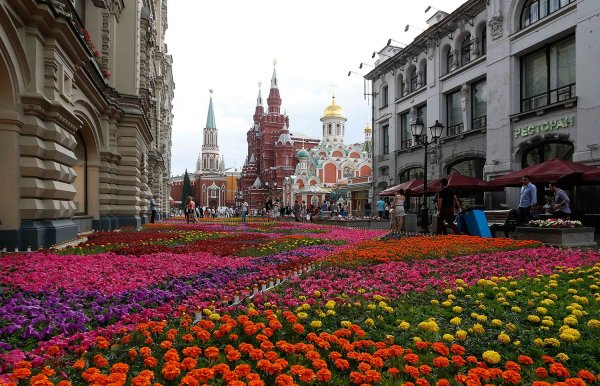 Храм Василия Блаженного Москва осенью