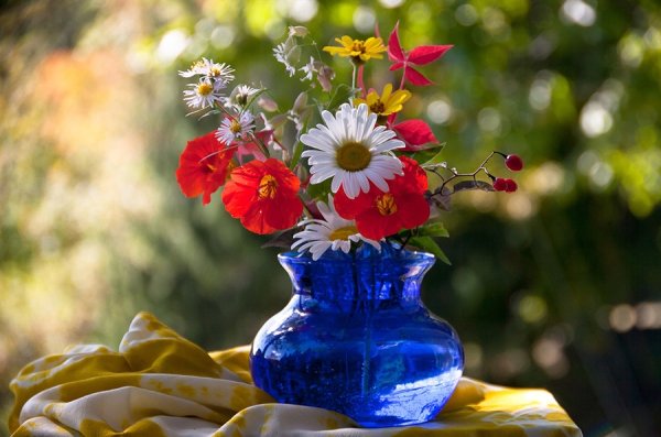 Цветы Прощай лето