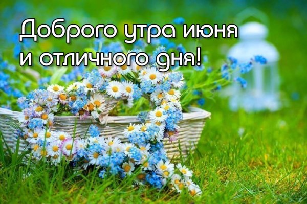 Доброе летнее утро на даче